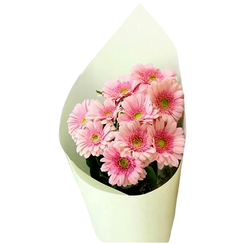 Small Pink Gerbera Bouquet